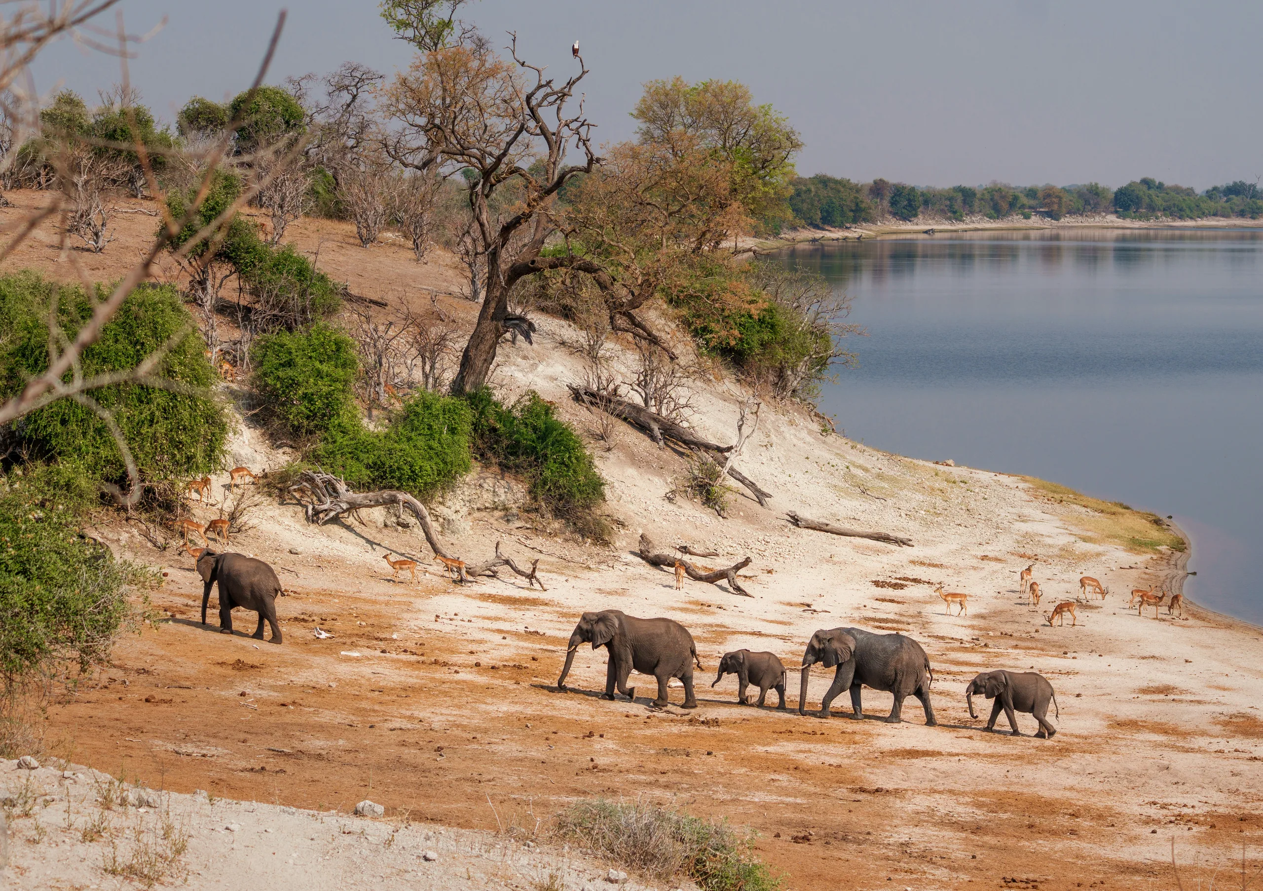 Chobe Sky & River